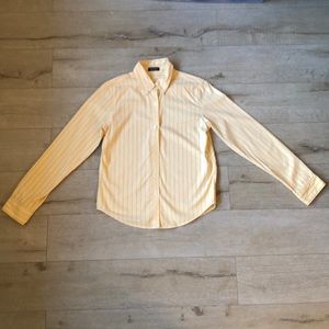 American Eagle Long Sleeve Button Down Shirt